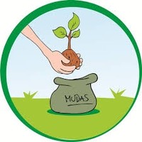 Instituto Refloresta