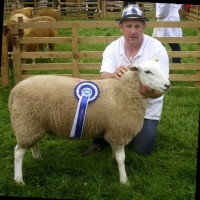 Paul Roddy