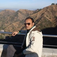 Ritu Raj