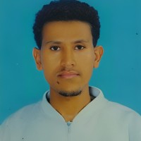 Semachew Fasika Misrak