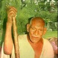 محمد همام