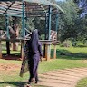 Mubeena Shaik