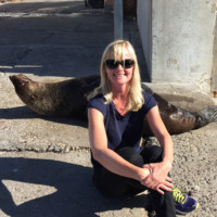 Vibeke Mejer
