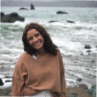 Lisa Singer