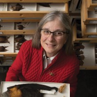 Suzanne Mclaren