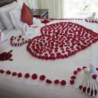 Matrubhoomi Tourholidays