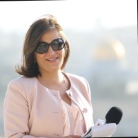 Fariba Sahraei