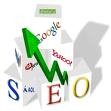 SEO Expert