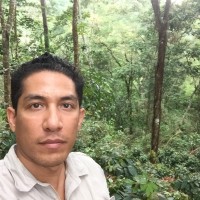 Daniel Dominguez Monzon