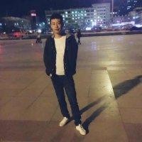 车立新