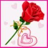 Saran Gs