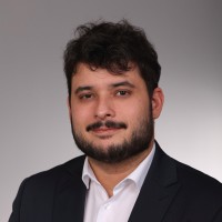 David Elfi