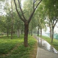 冯敬涛