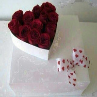 رنده أبوالخير