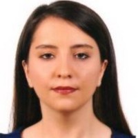Didem Sahin