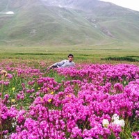 Abbas Ali