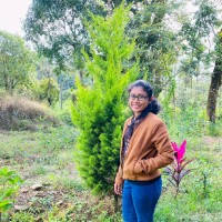 Dr. Archana B A