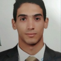 mohammed elsaghier