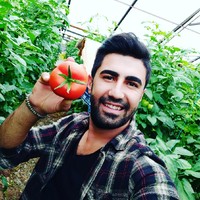 Ali AKIN