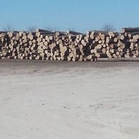 Wm.    G. Paterson lll