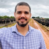 Marcus Vinícius Pavoni De Carvalho
