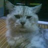 Hidayu Rusli