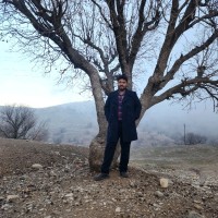 Ali Daylami