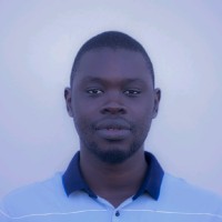 Cheikh Bamba Fall