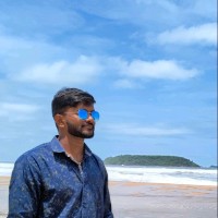 Rahul Nagapuri