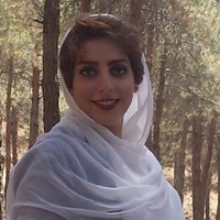 Fatemeh Ahmadzadeh