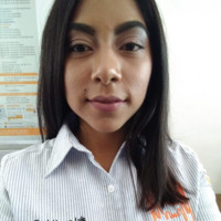 Flor Izamary Llanos Luis