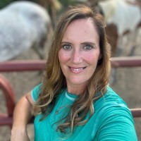 Christal Messer