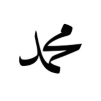 Amine M.