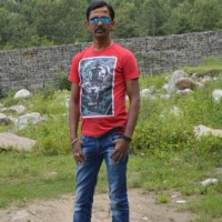 nat raj