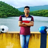 Sourav Bag