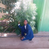 Ali Sharif