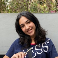 Nour Saber