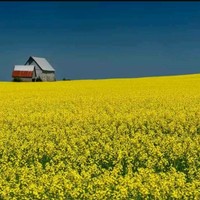 Darren Fischer