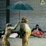 Md. Raihan