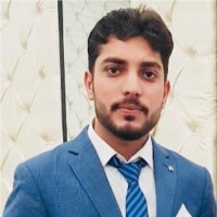 Ameen prince Ali khan