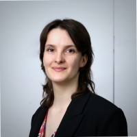 Pava Vidić