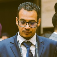 Yasser Amer