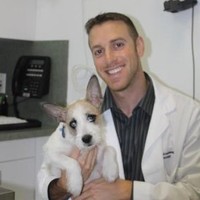 Joshua Broadwater | The Animal Eye Specialty Clinic