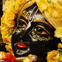 Hema Rawat