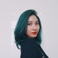 HaiAnh Nguyen