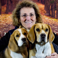 Gwen Ford