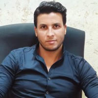 Assem Sanousy