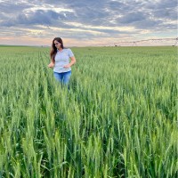 Vanessa Padovan Ligabô