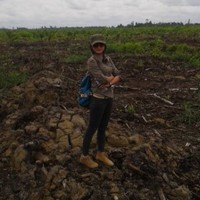 Puji Lestari