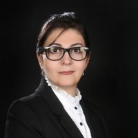 marzieh Mirghavami